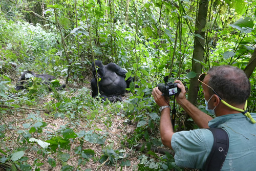 A safari in Uganda