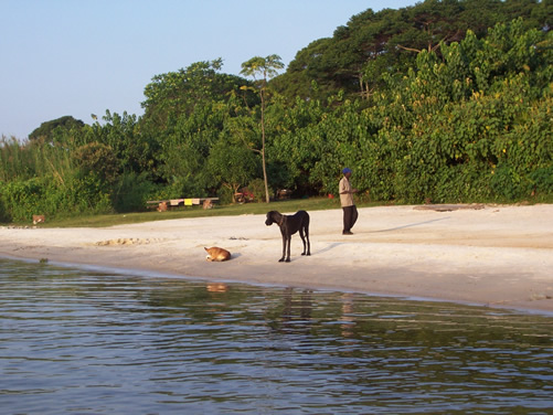 Uganda wildlife tour