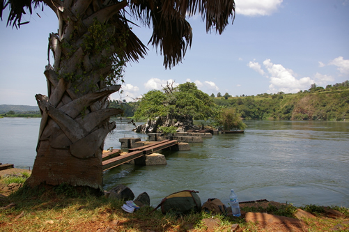 Wildlife tour in Uganda